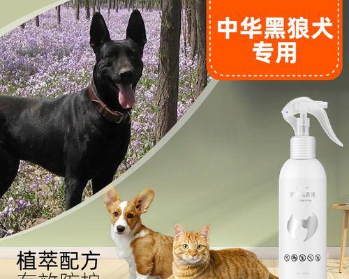 怎么判断狗狗有跳蚤？有效识别和预防跳蚤的方法是什么？