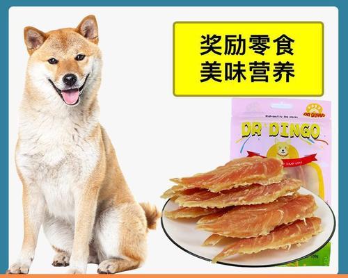 怎么样能成狗狗主人？成为狗狗主人需要准备哪些事项？