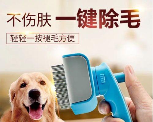 怎么样能成狗狗主人？成为狗狗主人需要准备哪些事项？