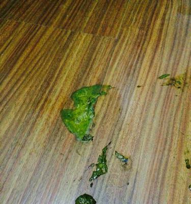 40天幼犬拉稀怎么办？如何快速解决幼犬腹泻问题？