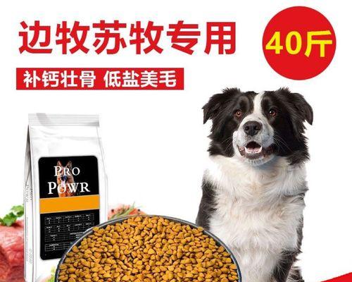 4个月大的边境牧羊犬应该吃什么狗粮？