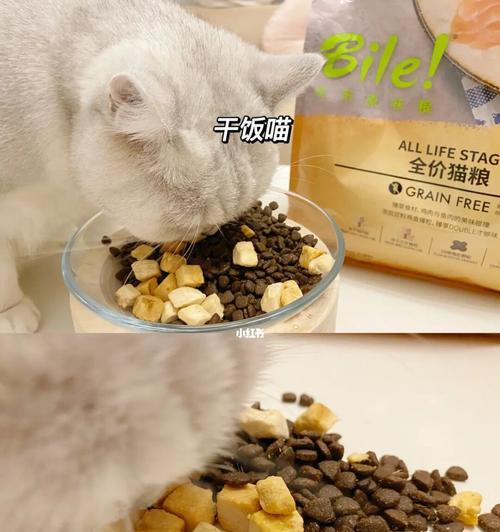 65天的猫食多小猫粮适合多大的猫咪？如何正确喂食？