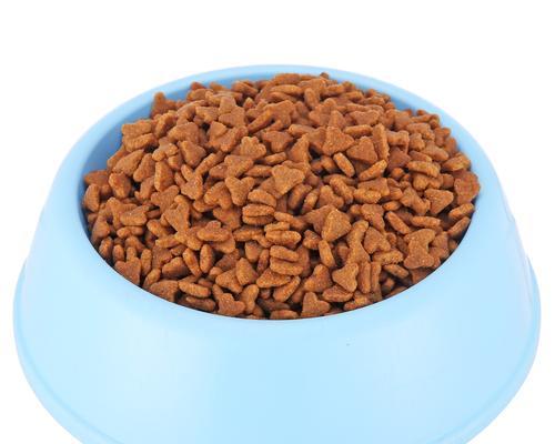 65天的猫食多小猫粮适合多大的猫咪？如何正确喂食？