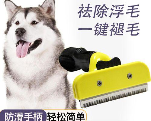 阿拉斯加幼犬梳毛技巧有哪些？如何保持毛发健康？