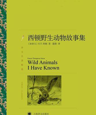 爱犬宾狗告诉我们什么？宠物行为背后隐藏的含义是什么？