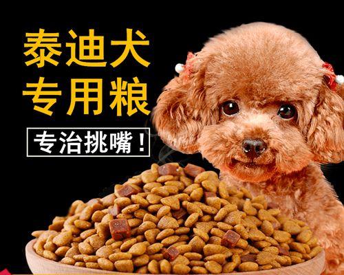 八个月泰迪每天应该喂多少狗粮？喂食量如何计算？