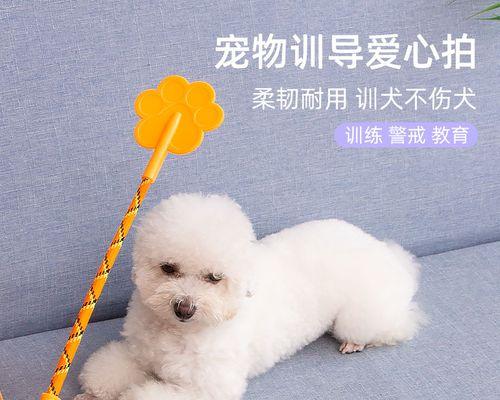 暴打小狗暴打小狗惨叫？如何正确处理宠物攻击行为？