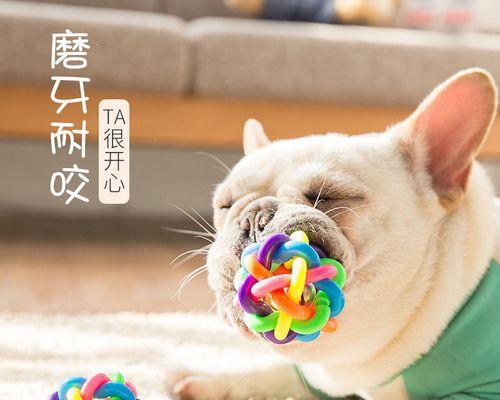 被泰迪狗咬了会有什么症状？如何处理伤口？