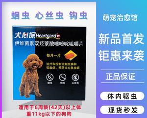 比熊犬内驱虫药怎么选？常见驱虫药物有哪些？