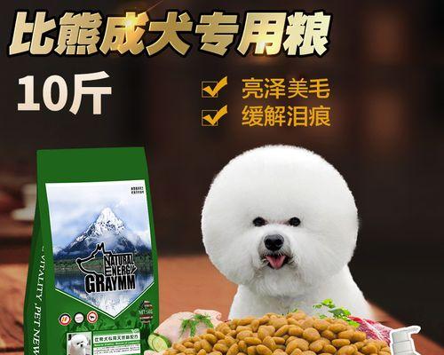 比熊幼犬肛门红是什么原因？如何处理？