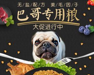 哺乳期母狗吃什么狗粮？如何选择适合的狗粮品牌？