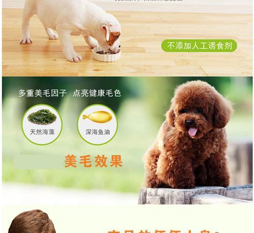 哺乳期母狗吃什么狗粮？如何选择适合的狗粮品牌？