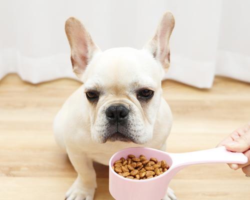 成犬频繁更换狗粮的利弊是什么？