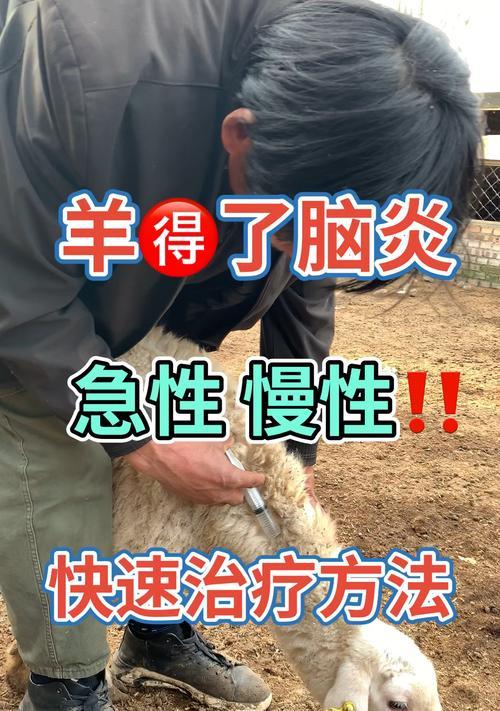 大狗得了脑炎怎么治疗？有效治疗方法有哪些？