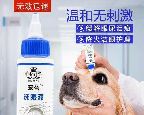 得过细小狗垫如何消毒？有效消毒方法有哪些？
