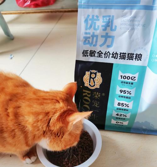 第一次喂猫咪猫粮应该给多少？如何正确开始喂食？