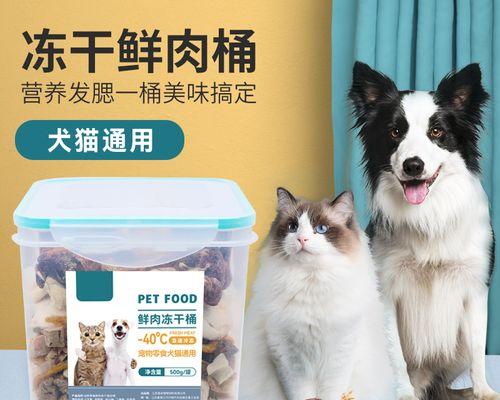 第一次喂猫咪猫粮应该给多少？如何正确开始喂食？