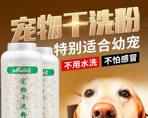 干洗粉真的能让狗狗毛发干净吗？使用方法和注意事项是什么？