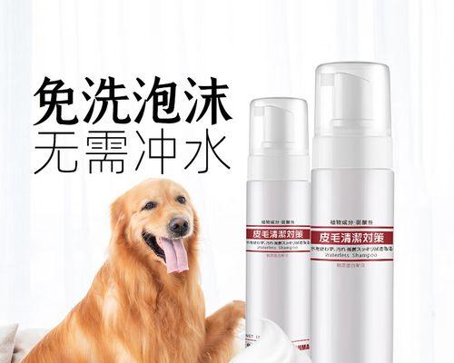 干洗粉真的能让狗狗毛发干净吗？使用方法和注意事项是什么？