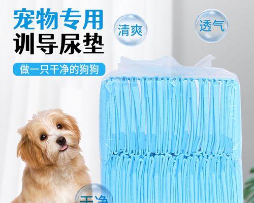 刚出生的小狗自己会尿吗？这是正常现象吗？
