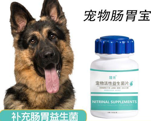 刚生出的小狗怎么处理？新手养狗需要注意哪些事项？