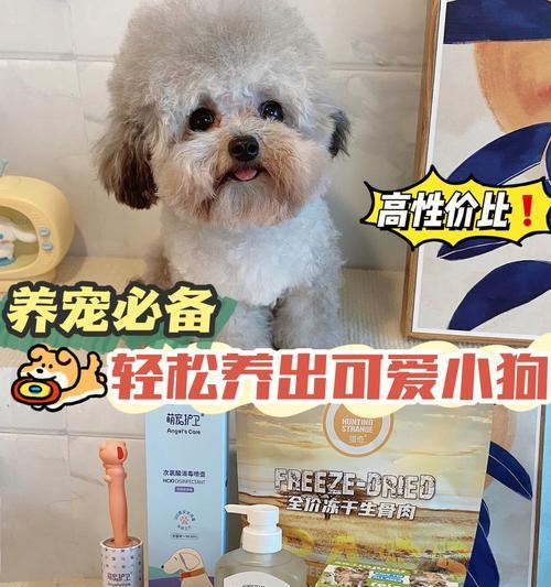 刚生的小狗需要单养吗？如何正确照顾新生幼犬？