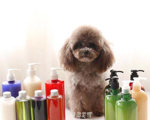 给猫咪买什么沐浴露好？如何选择适合宠物的洗护产品？