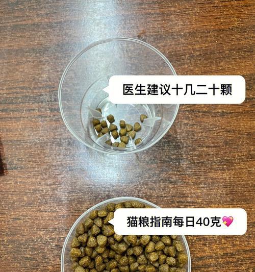 给猫咪喂食羊奶导致拉稀便怎么办？如何预防和处理？