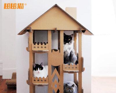 如何给猫咪做一个玩具纸箱？纸箱玩具制作常见问题解答？