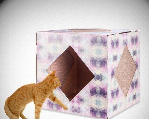 如何给猫咪做一个玩具纸箱？纸箱玩具制作常见问题解答？