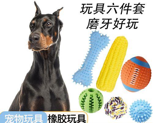 狗狗脚部受伤出血如何处理？紧急护理措施是什么？