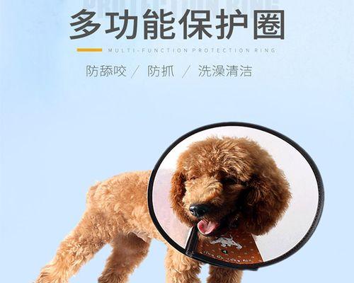 狗脖子出现肿块是什么原因？如何处理？