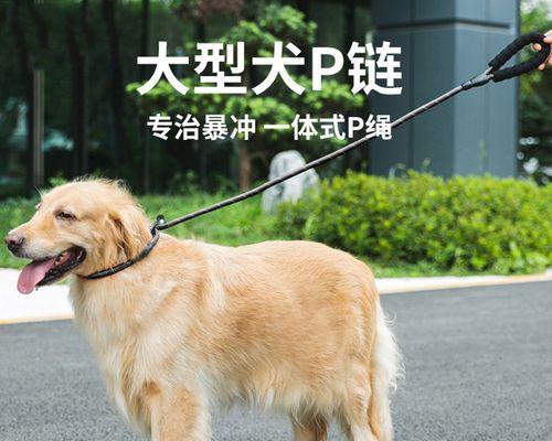 狗产后抽搐要怎么治疗？有哪些有效的治疗方法？