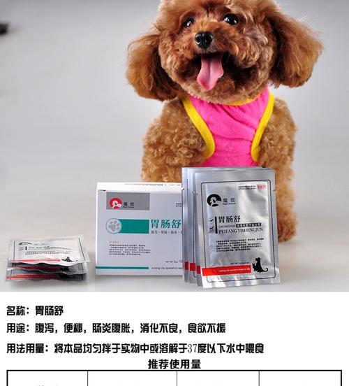 狗肠胃炎吃什么药最好？如何快速缓解宠物不适？