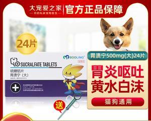 狗肠胃炎吃什么药最好？如何快速缓解宠物不适？