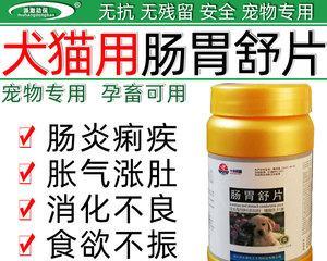 狗肠炎治疗吃什么药好？有效药物推荐及使用指南？