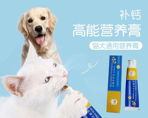 狗吃什么可以增加维生素？维生素缺乏的解决方法是什么？
