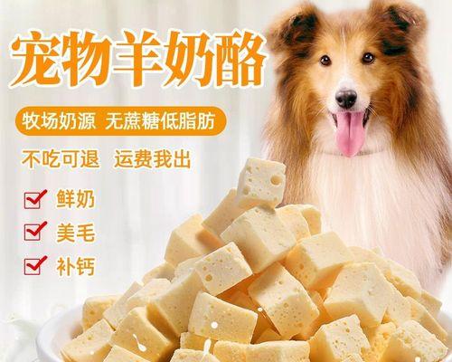 给狗狗补充益生菌的正确方法和注意事项是什么？