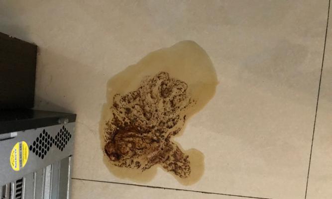 狗吃自己的粪便怎么办？如何有效阻止这一行为？