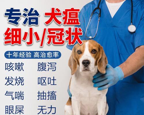 狗狗细小病毒呕吐怎么办？哪种药物治疗最有效？