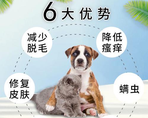 狗的真菌感染不能吃什么药？如何安全治疗？