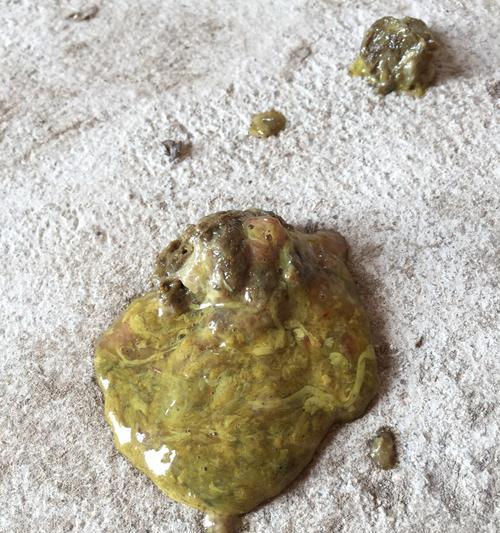 狗的粑粑粘在地上怎么清理？有效方法有哪些？