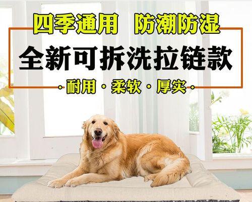 狗狗欺负新来的狗狗怎么办？如何快速解决狗狗间的冲突？