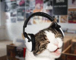狗狗爱听的音乐在线听？如何为宠物选择合适的音乐？