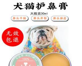 狗狗鼻子干脱皮怎么办？有效解决方法有哪些？