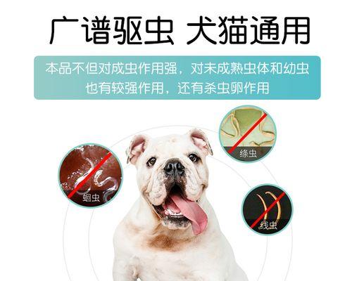 狗狗不吃打虫药怎么办？如何有效解决宠物拒药问题？