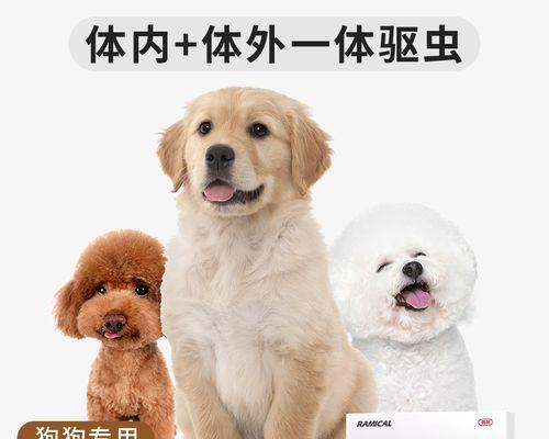 狗狗不吃打虫药怎么办？如何有效解决宠物拒药问题？