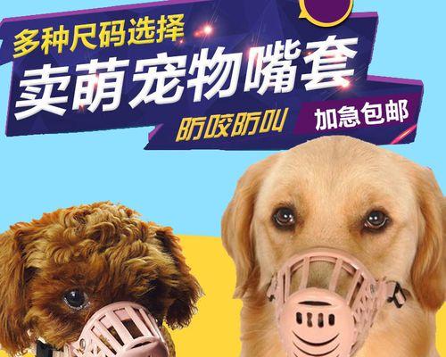 狗狗吃的草叫什么名字？对宠物健康有哪些影响？