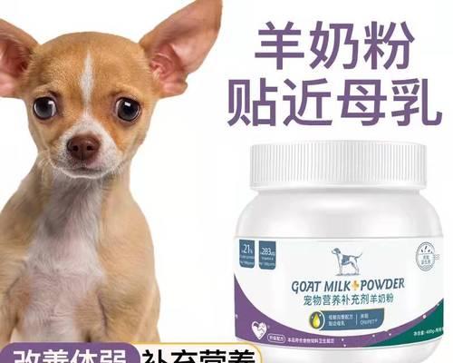 狗狗吃的草叫什么名字？对宠物健康有哪些影响？