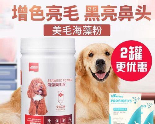 狗狗吃海藻粉有什么用？对健康有哪些好处？